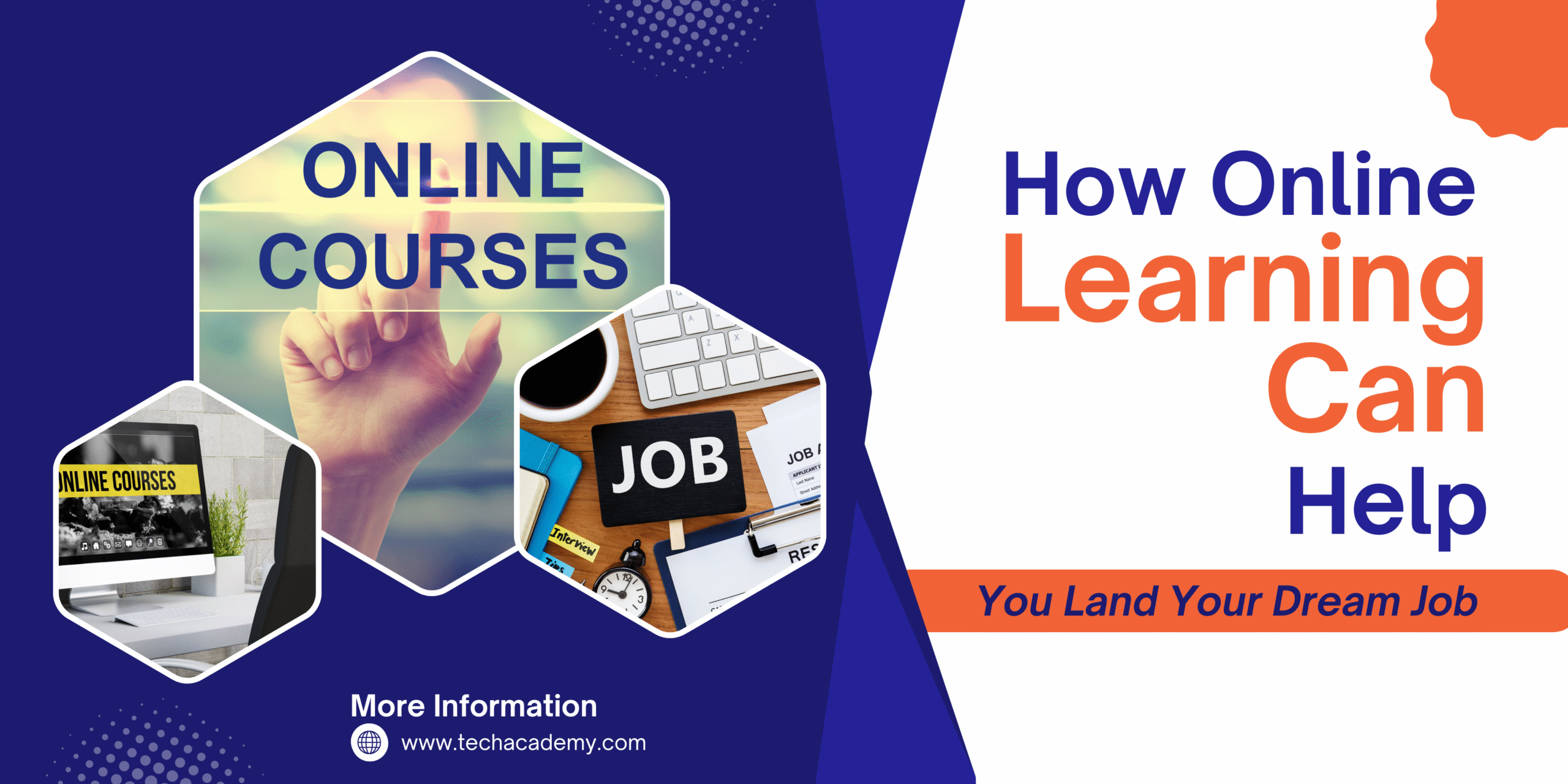 You Land Your Dream Job